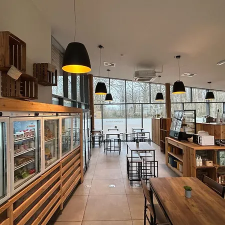 Vakantiehuis With Terrace & Pool